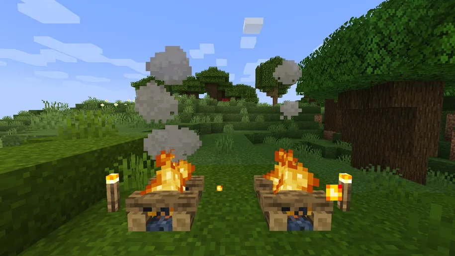Minecraft Campfires and torches in two different biomes