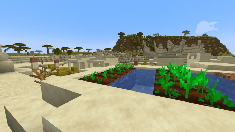 Minecraft desert village farm with Compliance 32x resource pack