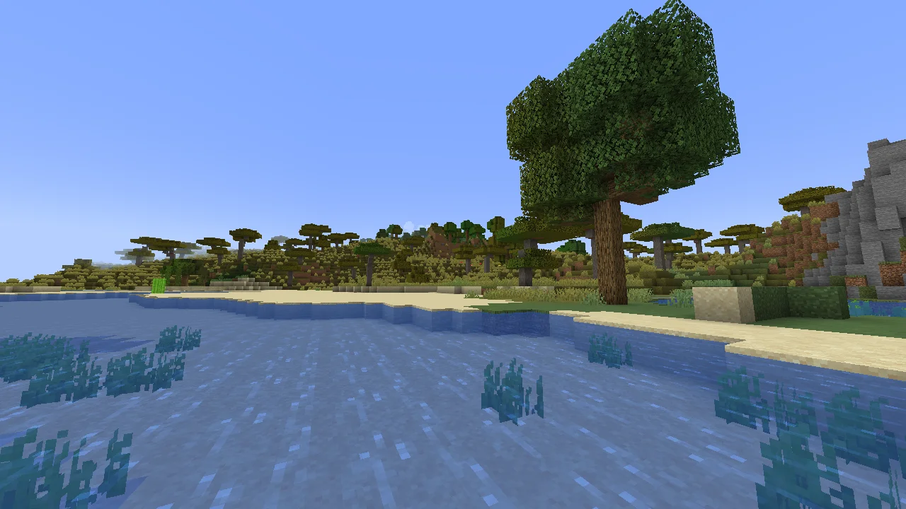 Vanilla Minecraft beach with savannah trees in the background