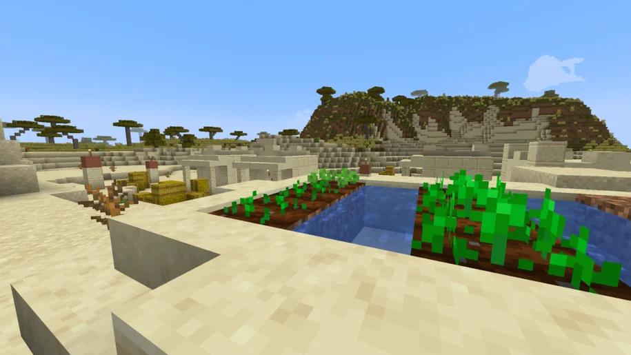 Minecraft desert village farm