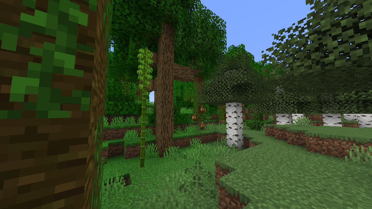 Minecraft birch forest next to a jungle forest