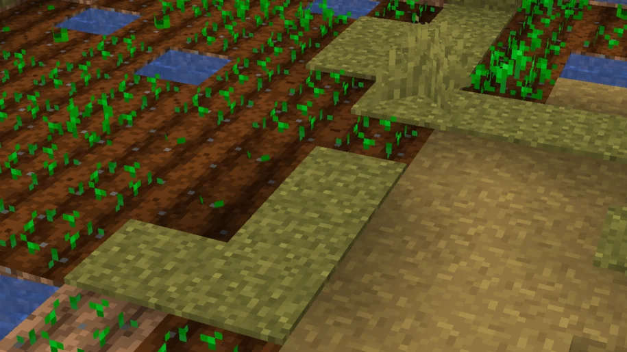 Minecraft farm with a path along the side of it