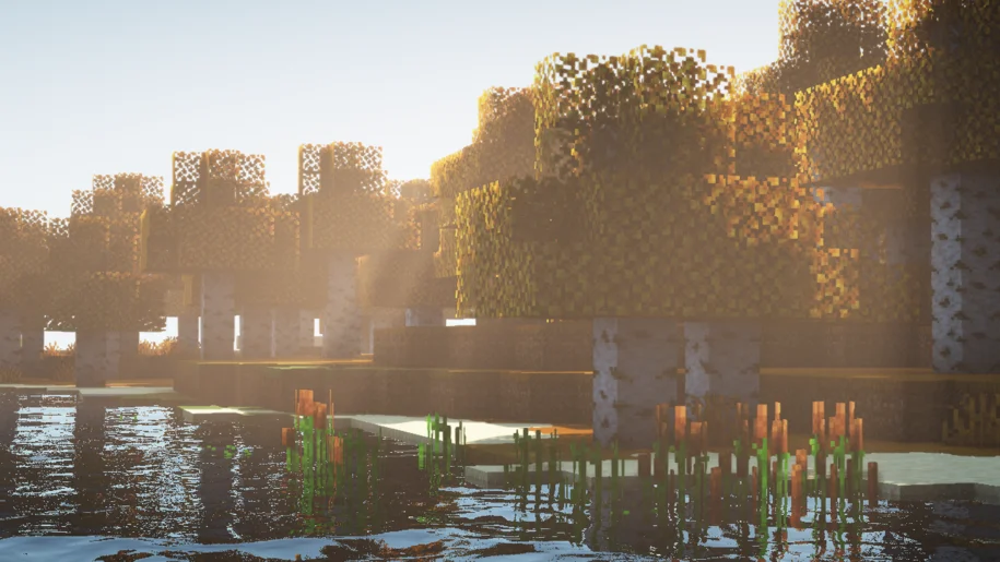 Minecraft beach near a birch forest with UltimaCraft texture pack and AstraLex Shaders
