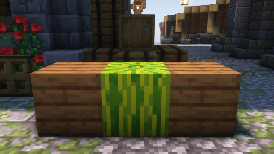 Minecraft melon block with two spruce wooden planks on either side