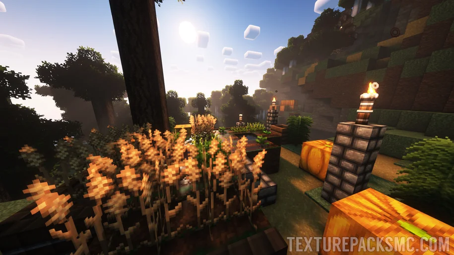 Wheat farm in a Minecraft village with the Ozocraft Remix texture pack and Complementary Reimagined shaders