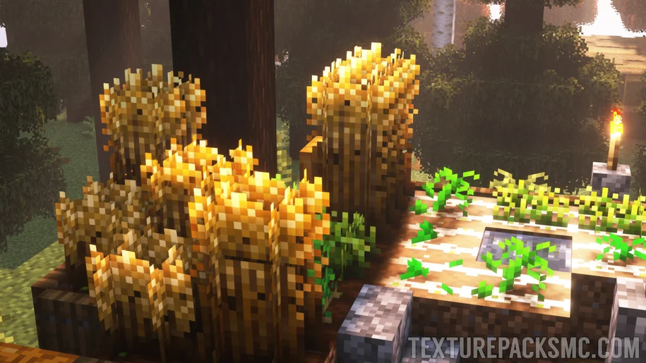 Wheat farm in Minecraft with the Stay True texture pack and Complementary Reimagined shaders